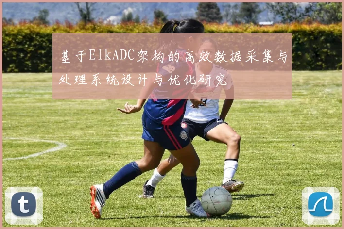 基于ElkADC架构的高效数据采集与处理系统设计与优化研究