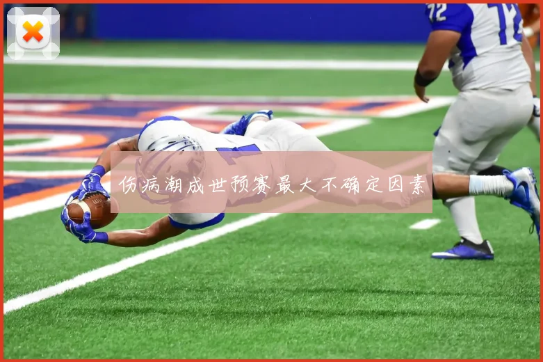 伤病潮成世预赛最大不确定因素
