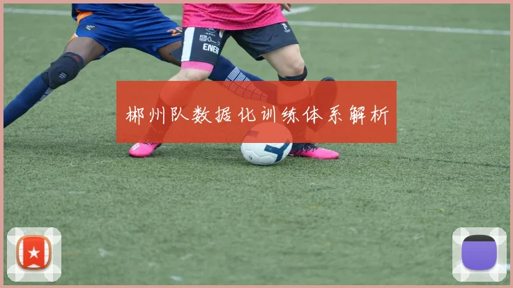 郴州队数据化训练体系解析