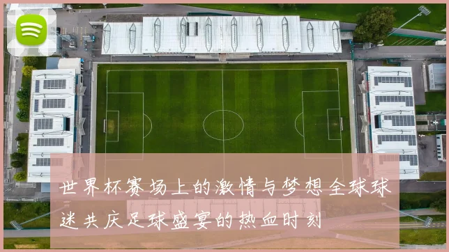 世界杯赛场上的激情与梦想全球球迷共庆足球盛宴的热血时刻